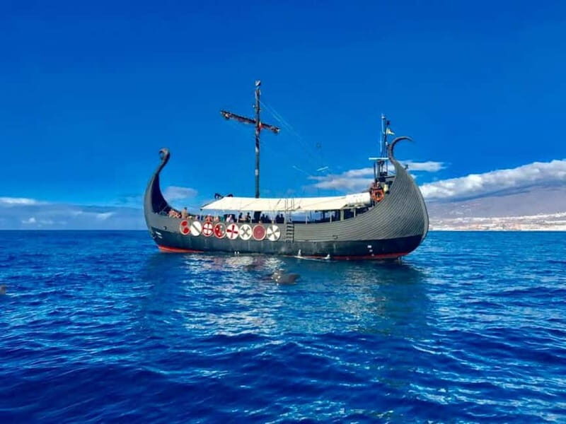 Los Cristianos: Viking Cruise Whales & Dolphins Watching - The Value of This Viking Voyage