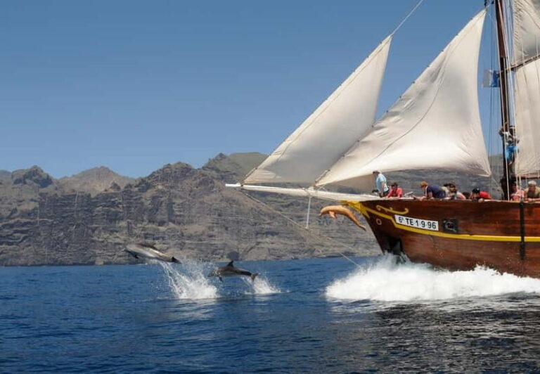 Los Gigantes: Dolphin & Whale Watching Tour on a Pirate Boat - Practical Tips for an Enjoyable Trip