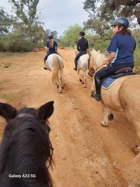 Loulé: Guided Horse Riding in the Hills of Tor - Why You Should Consider This Tour