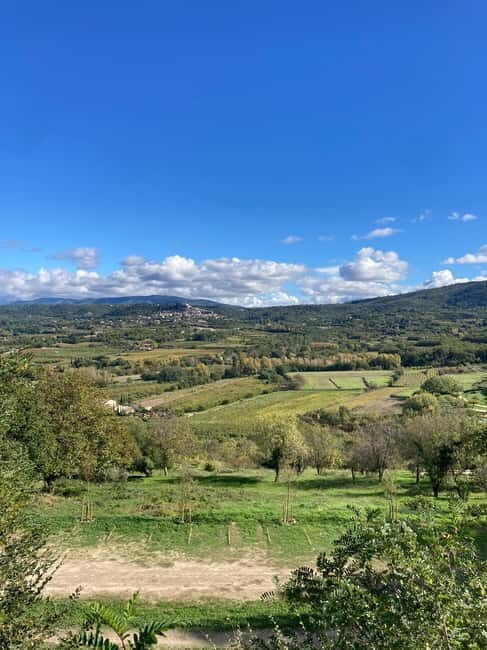 Luberon: themed bee-keeping bike rides with a local guide - Key Points