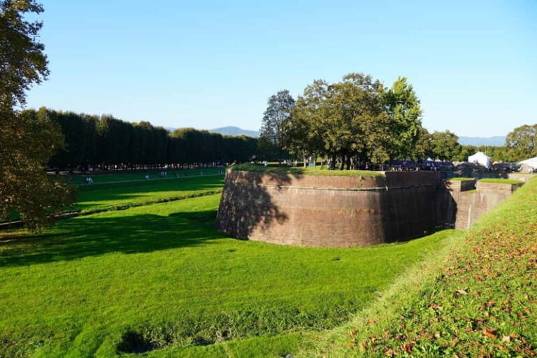 Lucca: guided tour of San Martino, San Frediano, city center - What To Expect & Practical Insights