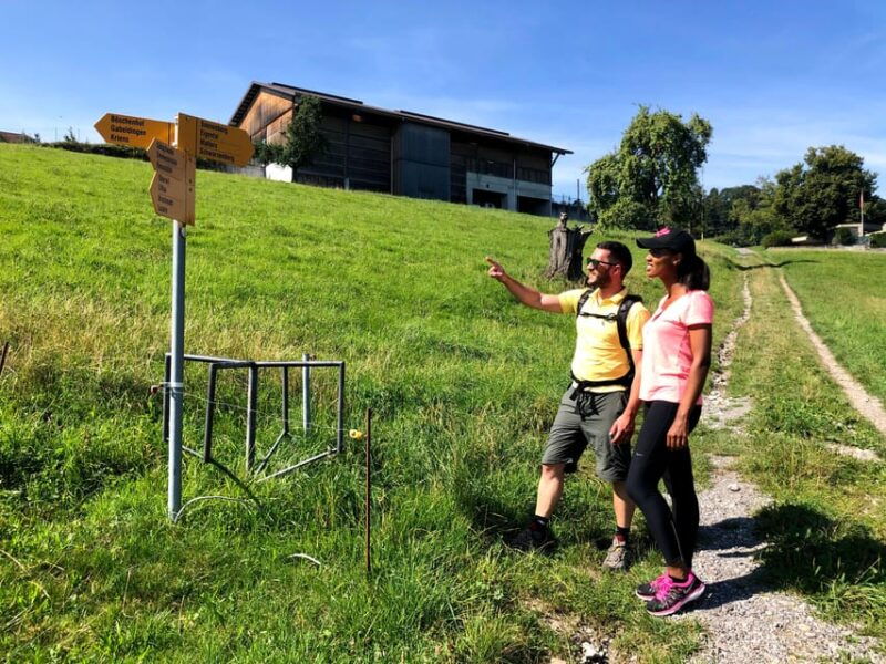 Lucerne: Farm Tour and Cheese Tasting - The Itinerary in Detail