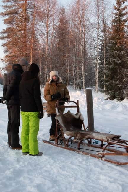 Luleå: Drive your own Husky team, 10km - An In-Depth Look at the Husky Sledding Tour in Luleå