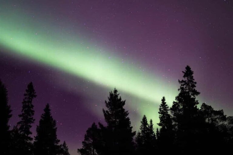 Luleå: Northern Lights Snowshoeing Tour - Who Should Consider This Tour