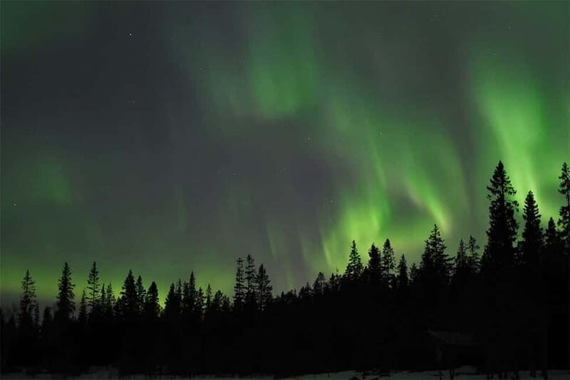 Luleå: Northern Lights Tour by Car with Guide - The Guide & Group Size