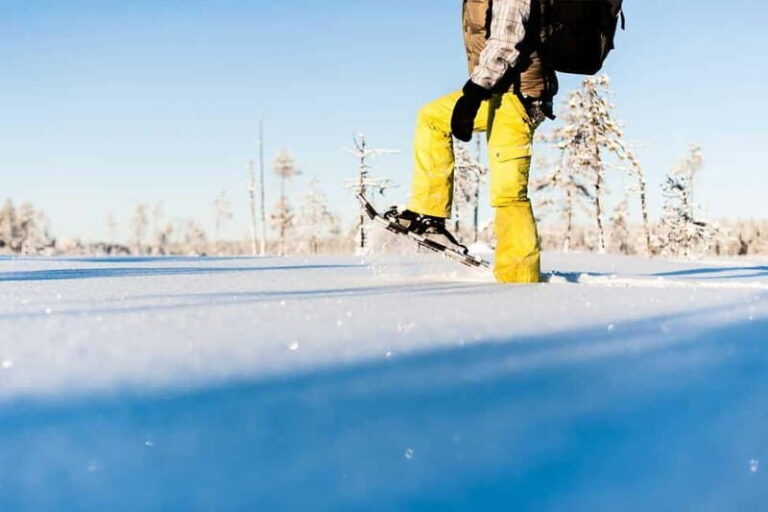 Luleå: snowshoeing in pristine nature with an expert guide! - The Sum Up