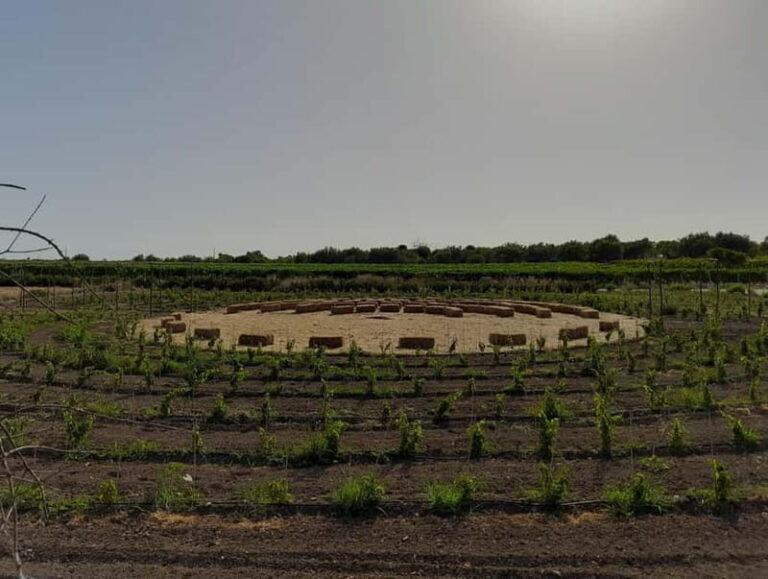 Lunch or dinner, wine tasting in the countryside of Noto - The Culinary Journey