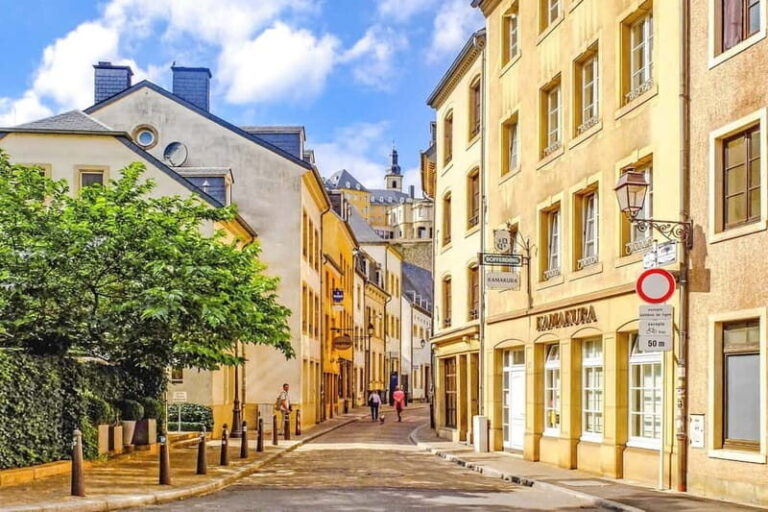 Luxembourg Christmas Market Tour - What to Expect During the Tour