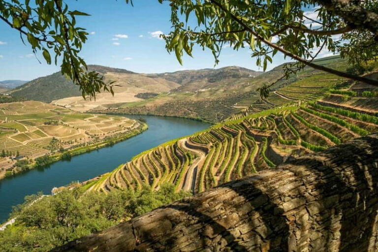 Luxurious Daytrip Lisbon to Douro Valley with Optional Stops - A Complete Look at the Journey: What to Expect