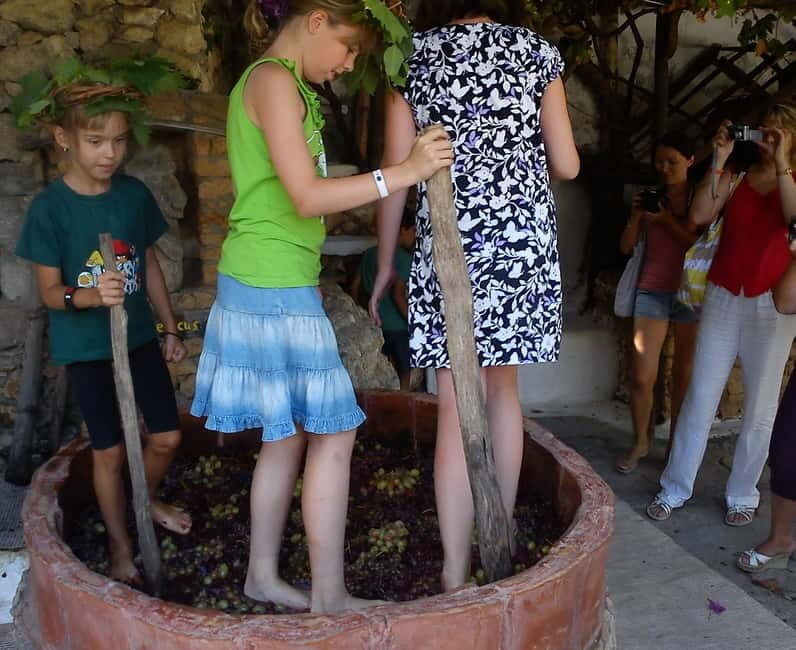 Lychnostatis Open Air Museum : Grape-Feast every Wednesday - Why This Tour Offers Value