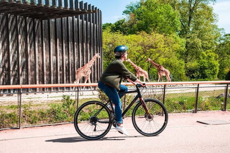Lyon: Discovery of the Tête d'Or Park by bike - Detailed Breakdown of the Experience