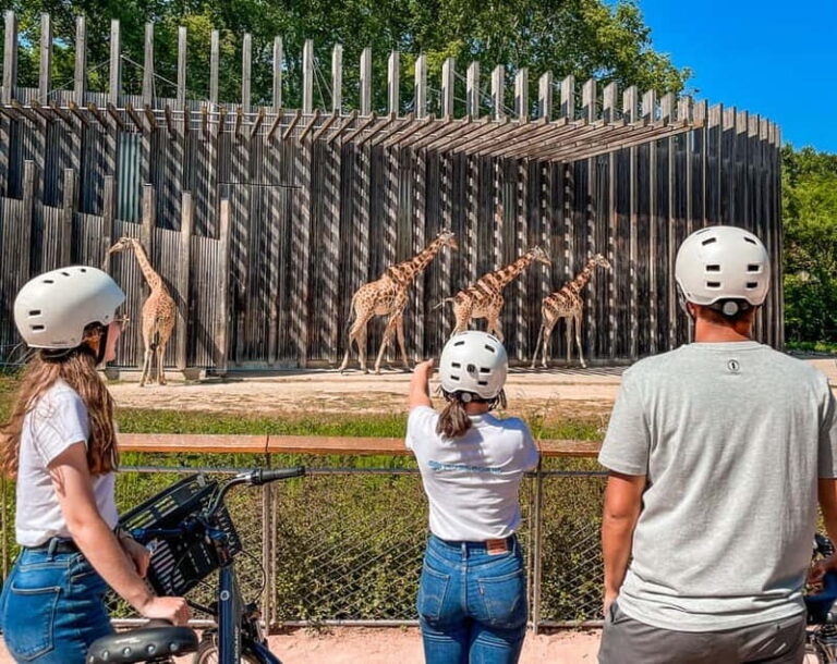 Lyon: Parc Tête d'Or eBike Tour - What Makes This Tour Stand Out?