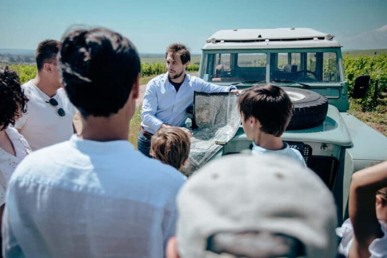 Lyon: Private Half Day Beaujolais Wine Tour by Defender - Why This Tour Offers Great Value