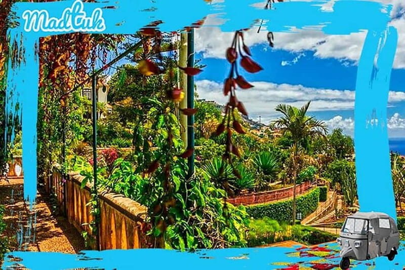 Madeira: Botanical Gardens + Old Town Tuk-Tuk Tour by MadTuk - What to Expect from the Itinerary