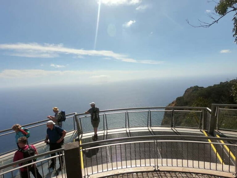 Madeira: Cabo Girão, Wines Experience and Dolphins Watching - How This Tour Adds Value for Travelers