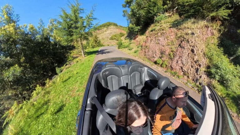 Madeira: Cabriolet Tour with Skywalk and Câmara de Lobos - Who Would Love This Tour?