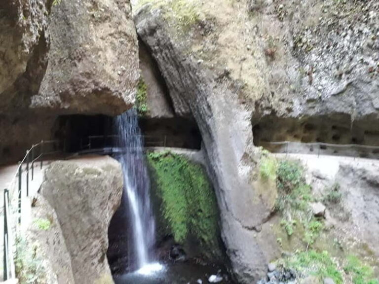 Madeira: Private Half-Day Walking and 4x4 off-road Tour - What Makes the Off-road and Walking Combo Special?