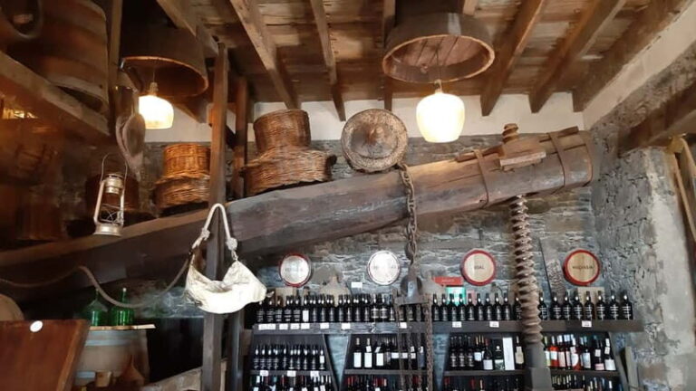 Madeira: Private Weekend Wine Tasting in São Vicente - Who Would Enjoy This Tour?