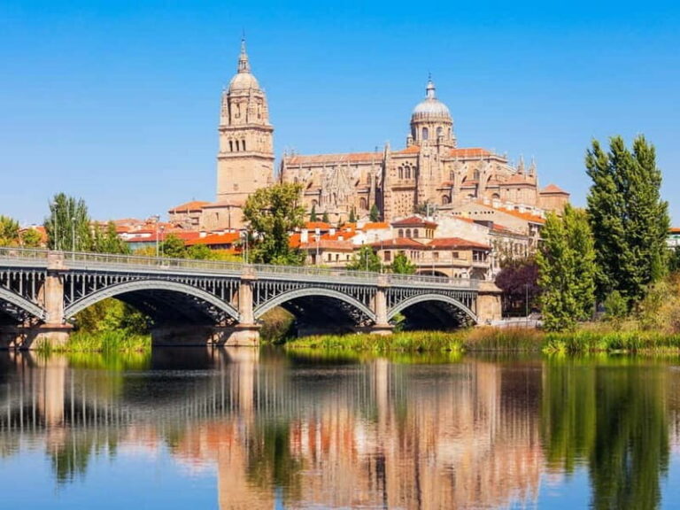 Madrid: Tour in Avila & Salamanca - Who Should Consider This Tour?