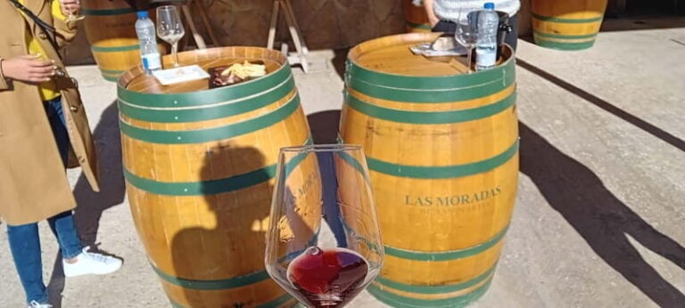 Madrid Wine Tour: Visit Two Wineries with Tastings - The Itinerary in Detail