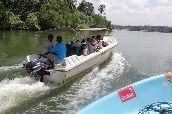 Madu River Boat Safari Balapitiya - An Authentic Look at the Madu River Boat Safari in Balapitiya