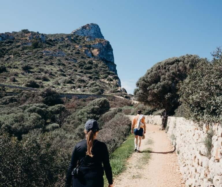 Majorca: Visit the Natural Park of Dragonera Island by boat - Why Choose This Tour?