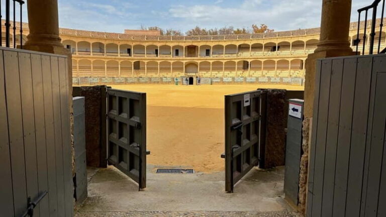 Malaga: Ronda and Setenil de las Bodegas Day Trip - Practical Details