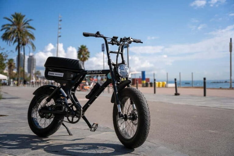 Malaga: Up to 8 hour Electric Fatbike Rental - What to Expect During Your Ride in Malaga