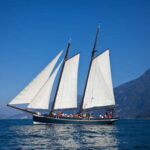 Malcesine: Fireworks Evening Cruise - The Experience: What To Expect