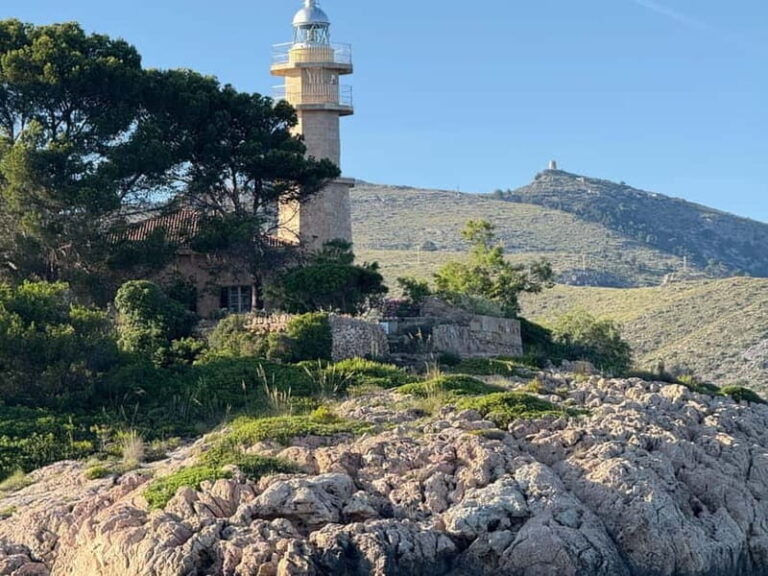 Mallorca: Alcudia, Private Boat Tour to Formentor & Pollensa - Practical Tips for Your Tour