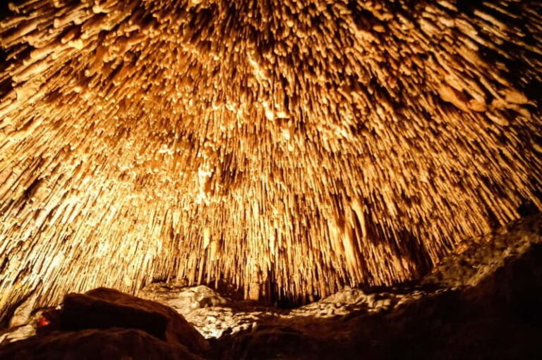 Mallorca: Caves of Drach Tour from the North with Boat Trip - Exploring the Caves of Drach