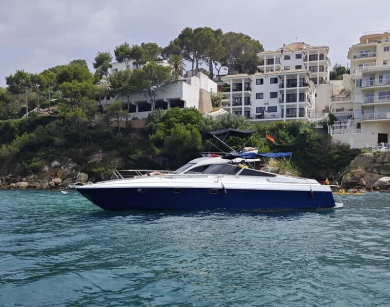 Mallorca: Charming boat ride with tapas and Mallorcan wines - The Value: What’s Included and What You Pay For