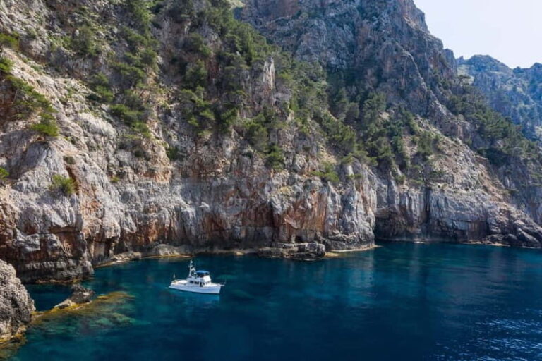 Mallorca: Private boat tour in Palma de Mallorca - What to Know Before You Book