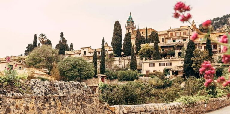 Mallorca: Puerto de Sóller and Valldemossa Morning Trip - Practical Tips for Making the Most of Your Trip