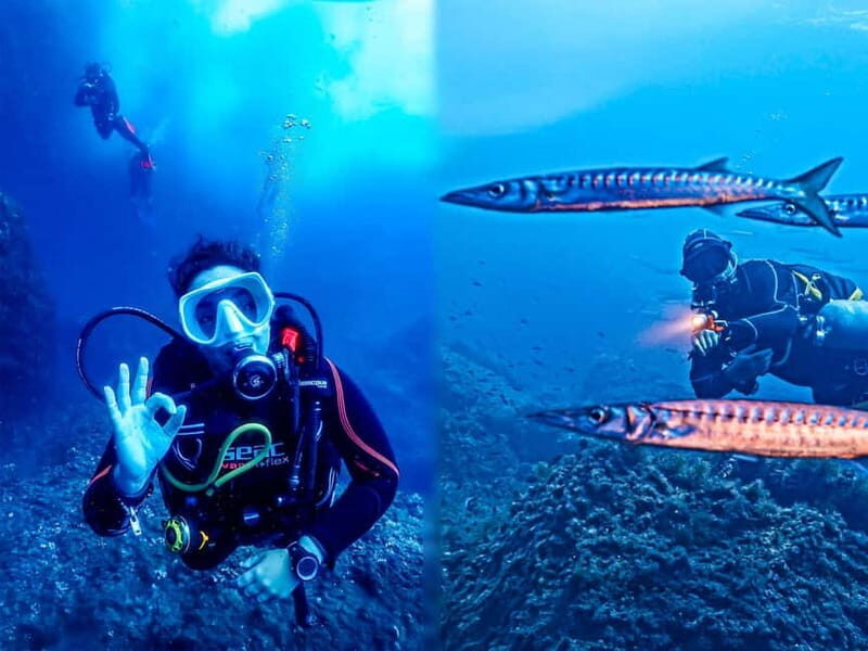 Mallorca: Scuba Dive Adventure Cap de Formentor - 2 dive sites - What to Expect from This Mallorca Dive Tour