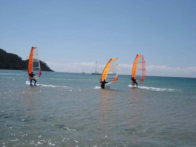 Malmö: Beginner class Dynamic Windsurfing - Gear and Preparation