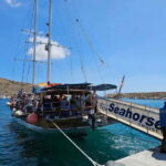 Malta: Comino+ Santa Maria Bay, Blue Lagoon + Seacaves tour - What Makes This Tour Stand Out?