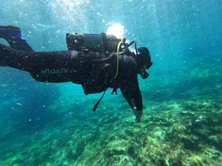 Malta: St. Paul's Bay 1 Day Scuba Diving Course - Overview of the Course