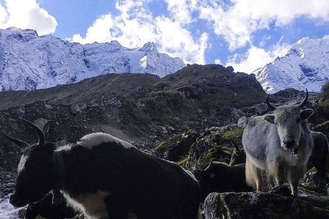 Manaslu Circuit Trek - Introduction