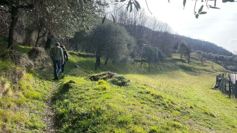 Mandello del Lario: Hike across hills and quaint hamlets - Exploring Medieval and Religious Sites