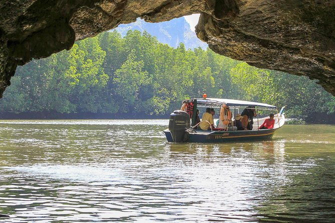 Mangrove Forest Tour In Langkawi - An In-Depth Look at the Mangrove Forest Tour