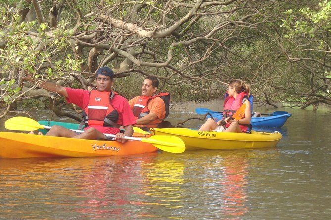Mangroves Magic Goa Kayaking Experience - Who is this tour best for?  