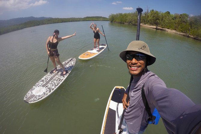 Mangroves SUP Tour Phuket - What Makes This Tour Stand Out?