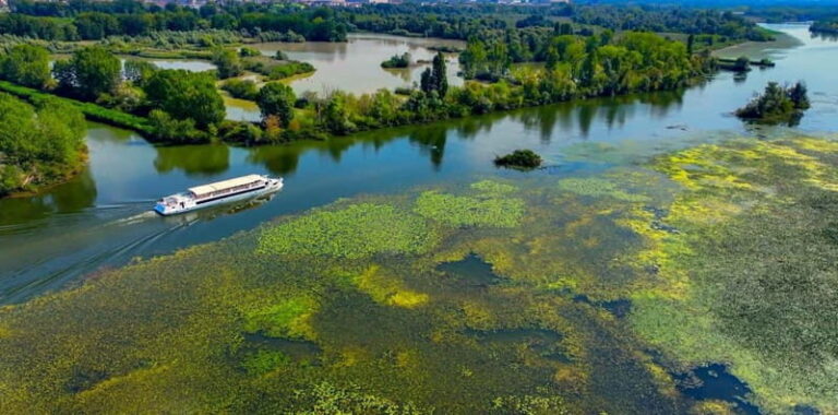 Mantua: Panoramic Cruise with Guide, Natural Oasis and Water Elevator - The Water Elevator: Engineering Meets Nature