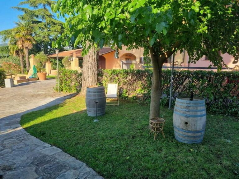 Maremma: Oil tasting with picnic among the olive trees - Practical Details and What to Expect
