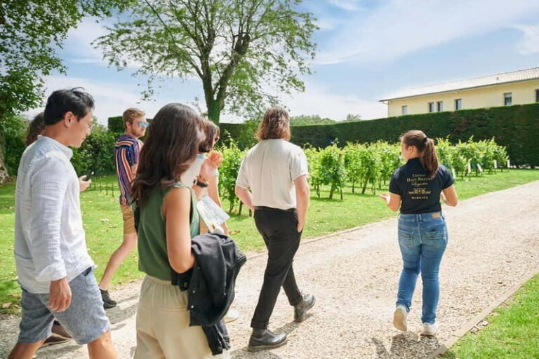 Margaux - Guided tour with tasting of 4 wines and tapas - What to Expect During the Tour