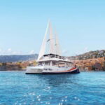 Marina Baie des Anges : A Day at Sea in the Lérins Islands in a Catamaran - The Practical Side: What to Know Before You Go
