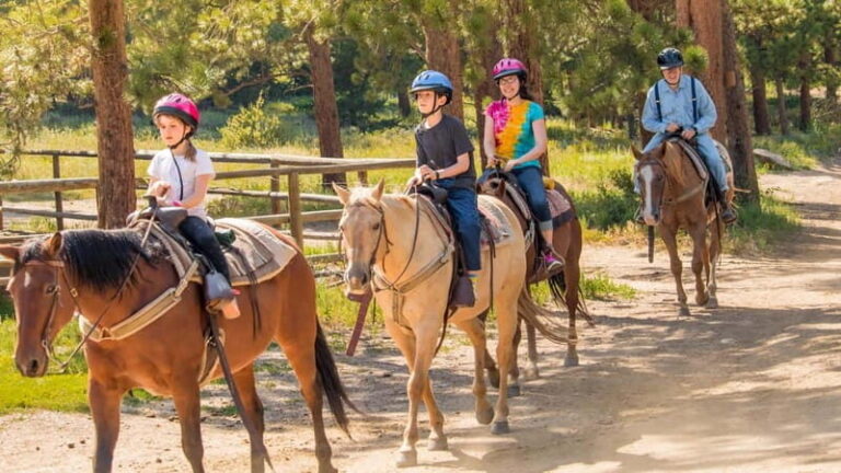 Marmaris: Horse Riding & Safari with Hotel Transfer - The Practical Side: What’s Included & What to Know