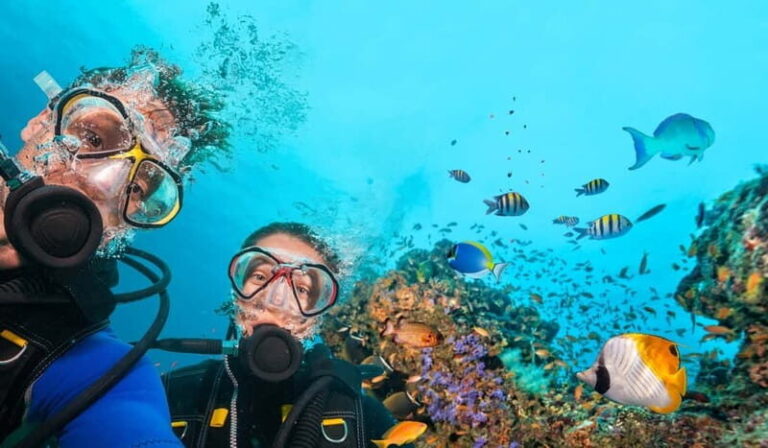 Marmaris: Scuba Diving, Incl. 2 Dive, Lunch w/Hotel Transfer - What’s Included and What’s Not