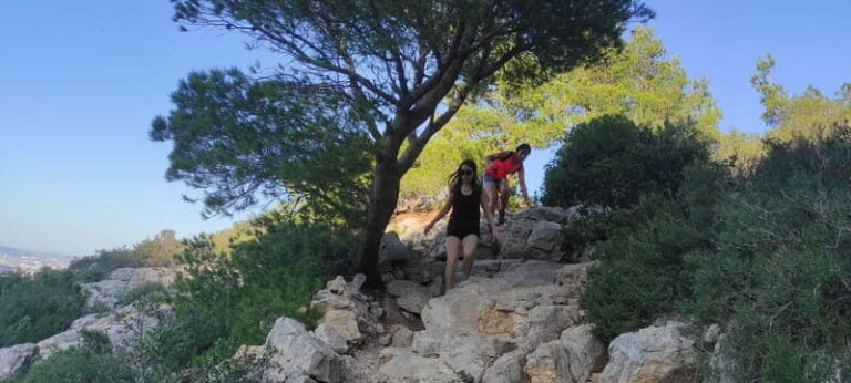 Marseille: Calanques National Park Guided Summit Hike - An In-Depth Look at the Calanques Summit Hike